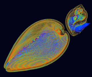 Illustration for article titled The Year's Best Visualizations of Scientific Concepts